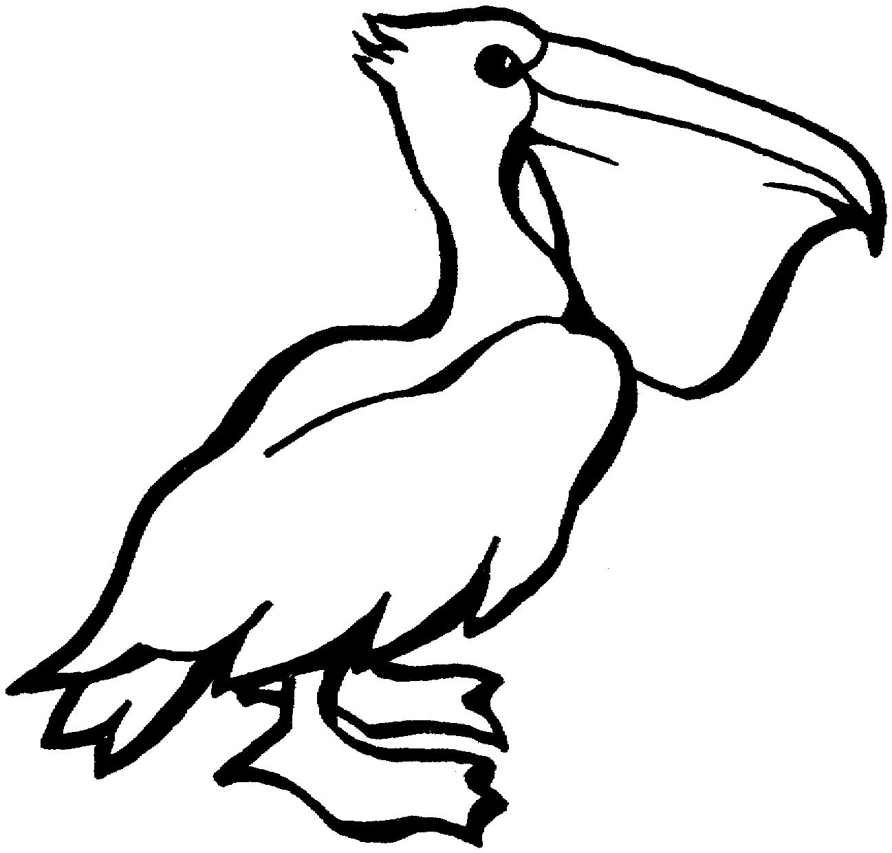 раскраска пеликан